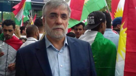 Ankara and Baghdad consider a Kurdish entity as provocative: Turkey Kurdish party leader